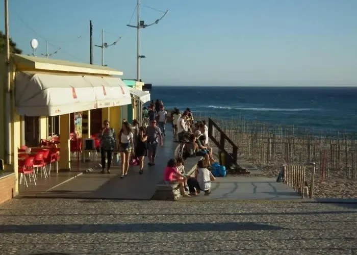 Wolf * לוריניה